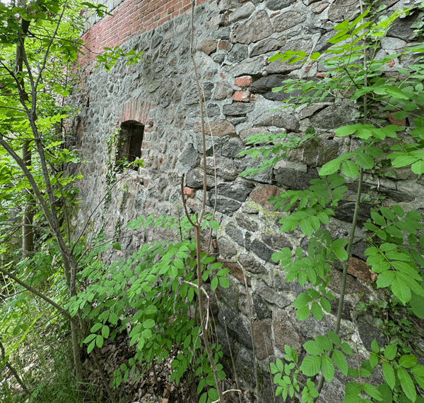 burg-angern-palas-ost